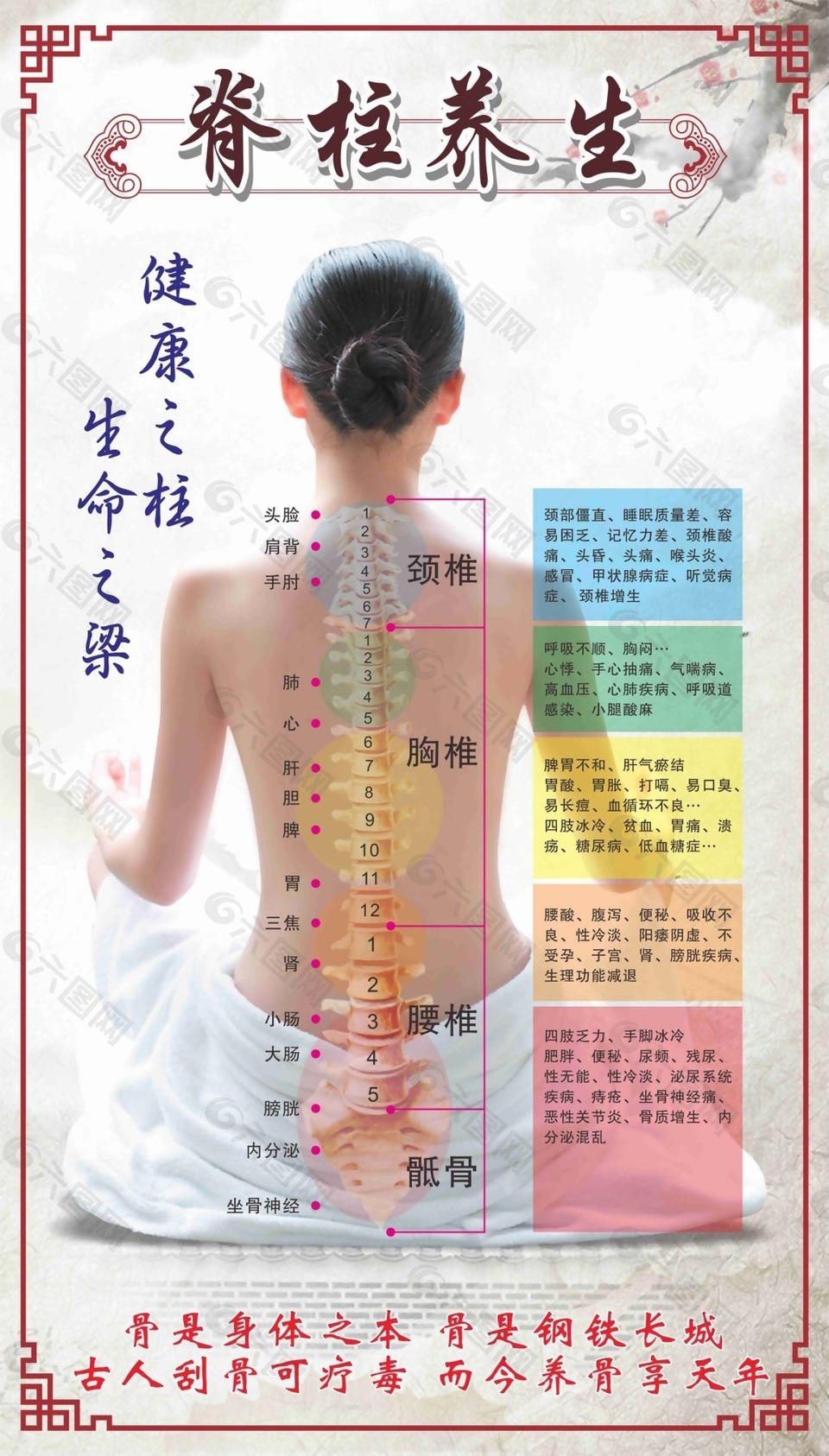脊柱养生商业海报