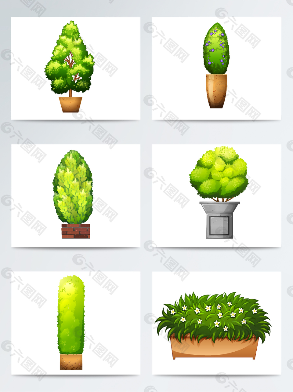 園藝盆栽植物素材