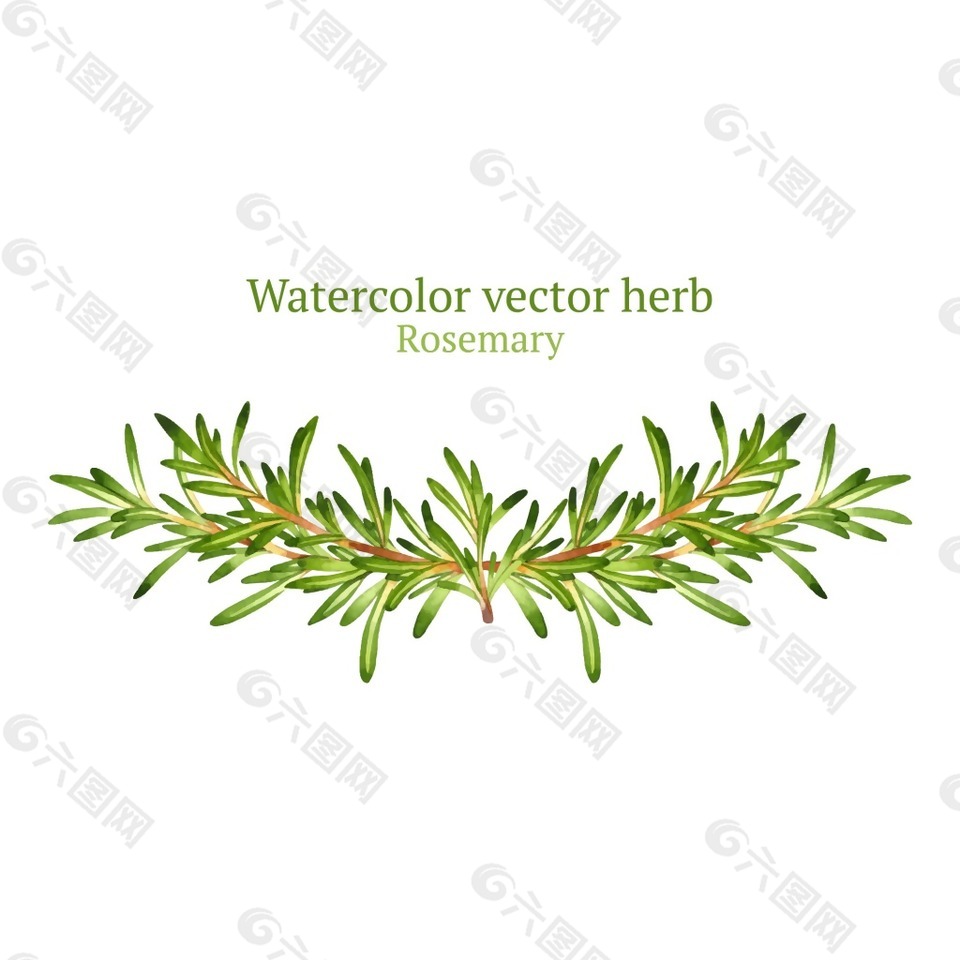 水彩繪唯美清新葉子插畫