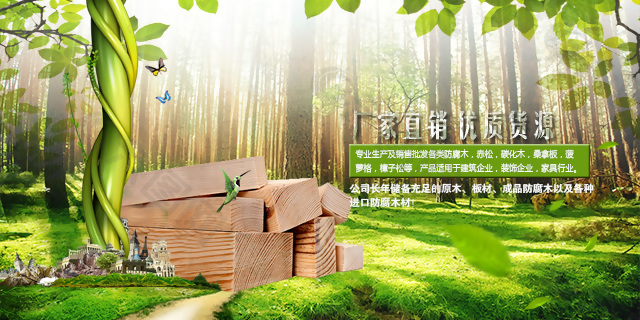 清爽潔凈綠地綠色陽光自然