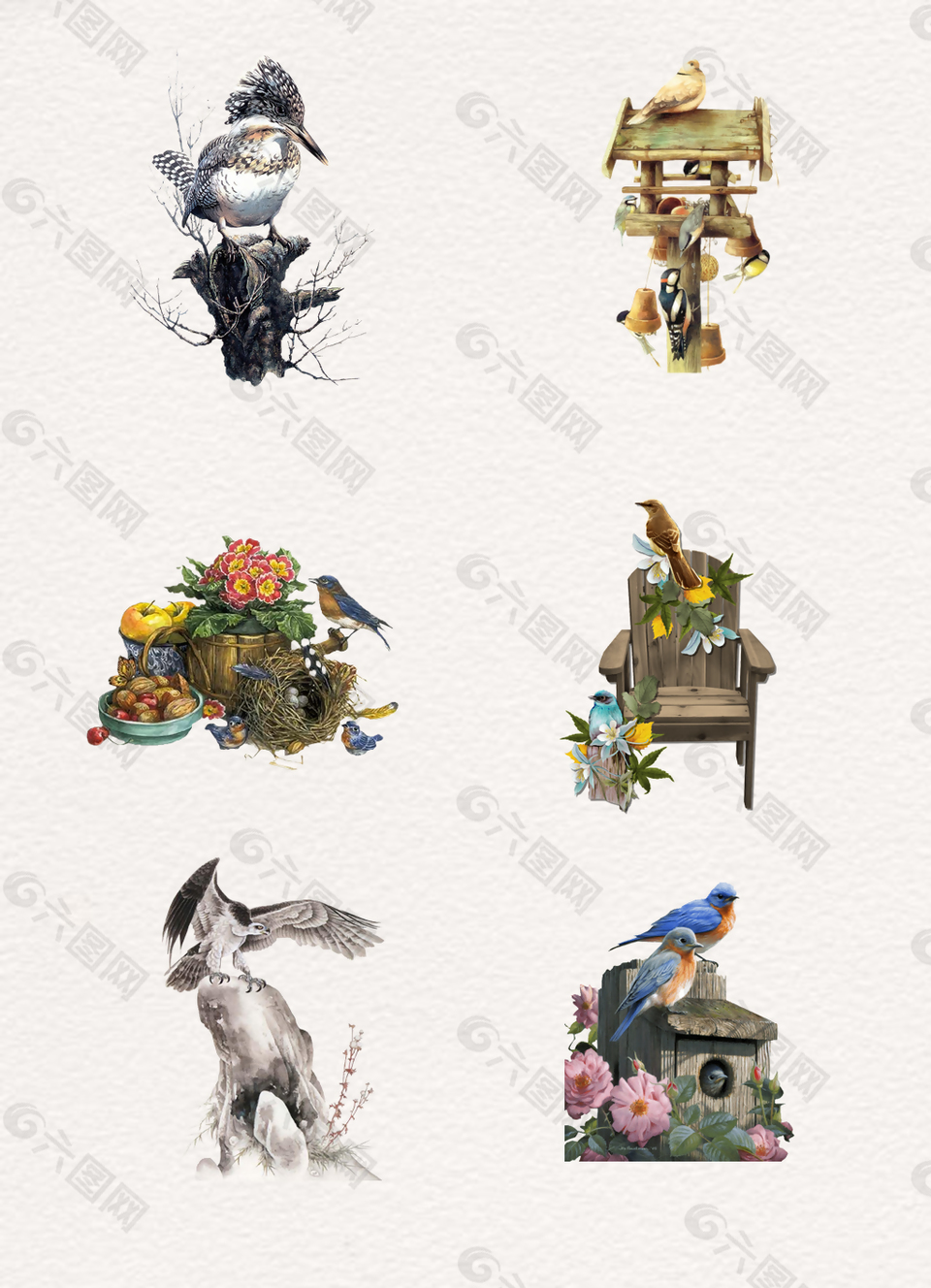 彩色站立樹(shù)樁上小鳥