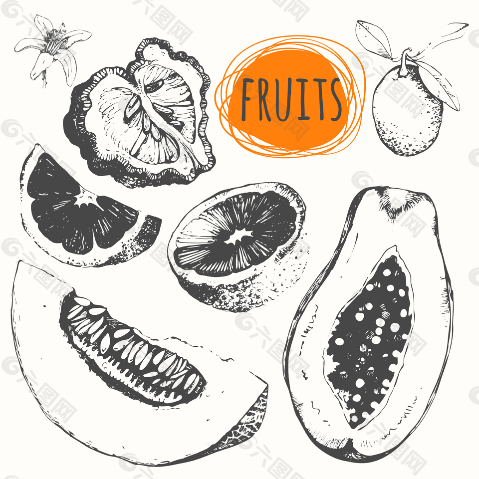 手繪美味的水果插畫
