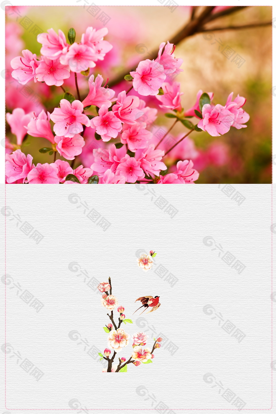 高清粉色杜鵑花開海報背景設(shè)計