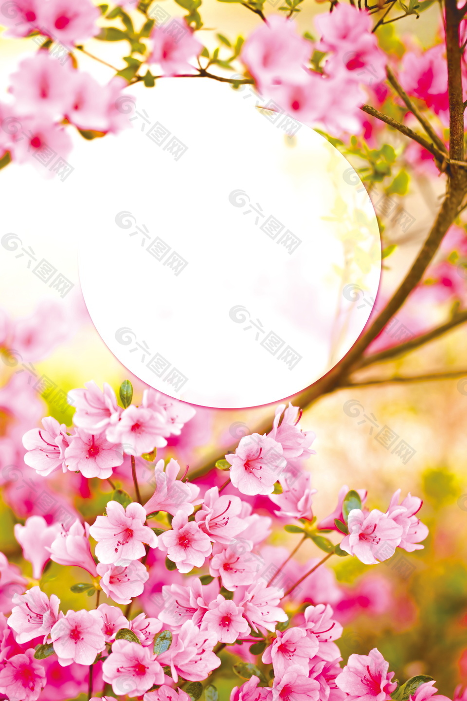 高清粉色杜鵑花開海報背景設(shè)計