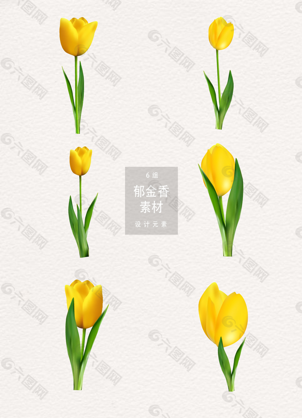 黃色郁金香ai矢量素材