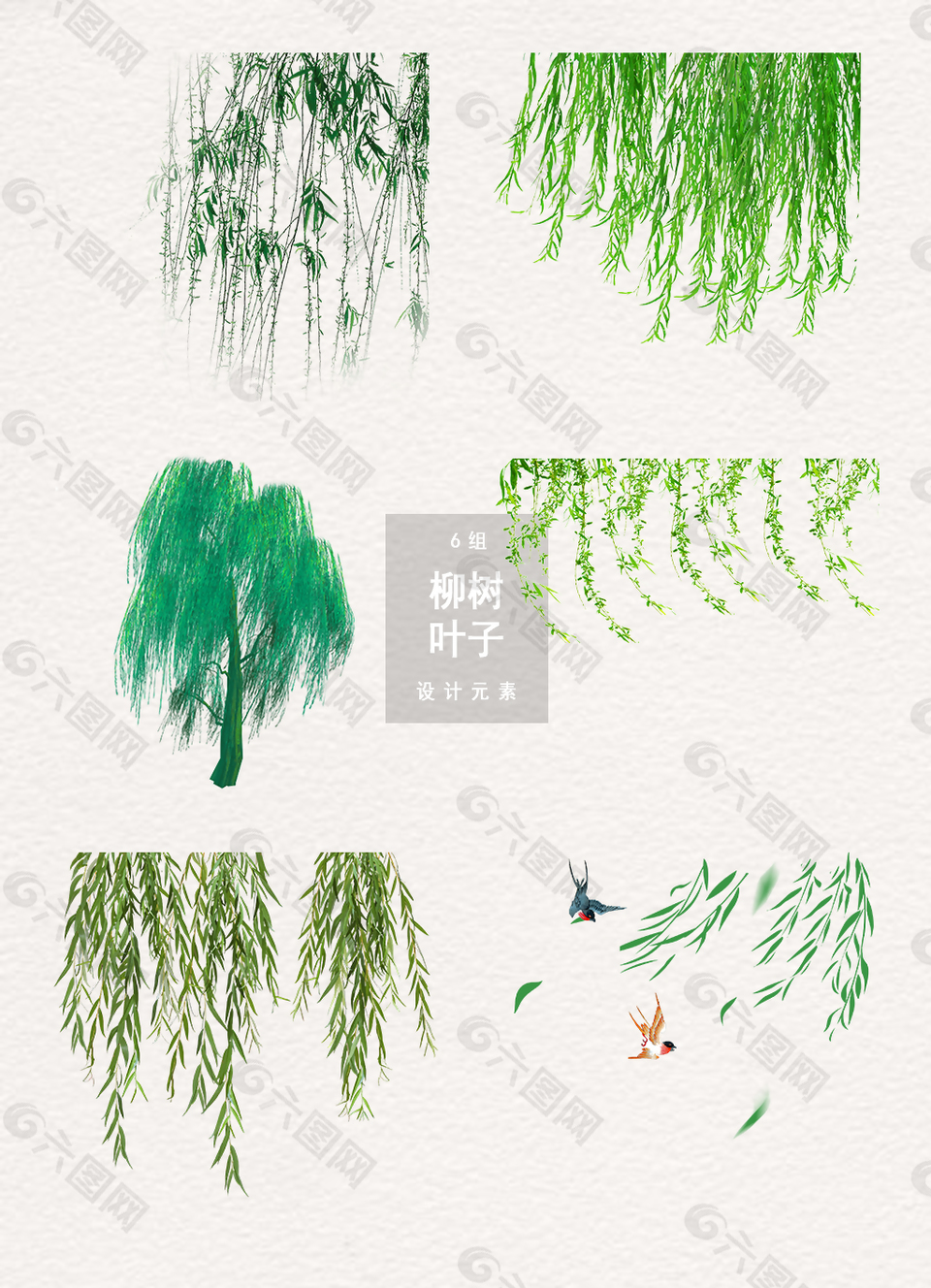 清新柳樹葉子柳條元素