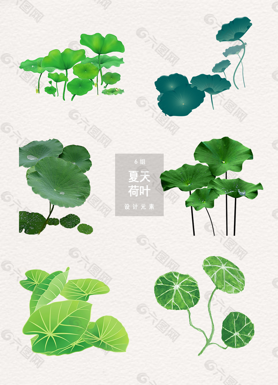 夏天荷葉設(shè)計元素下載