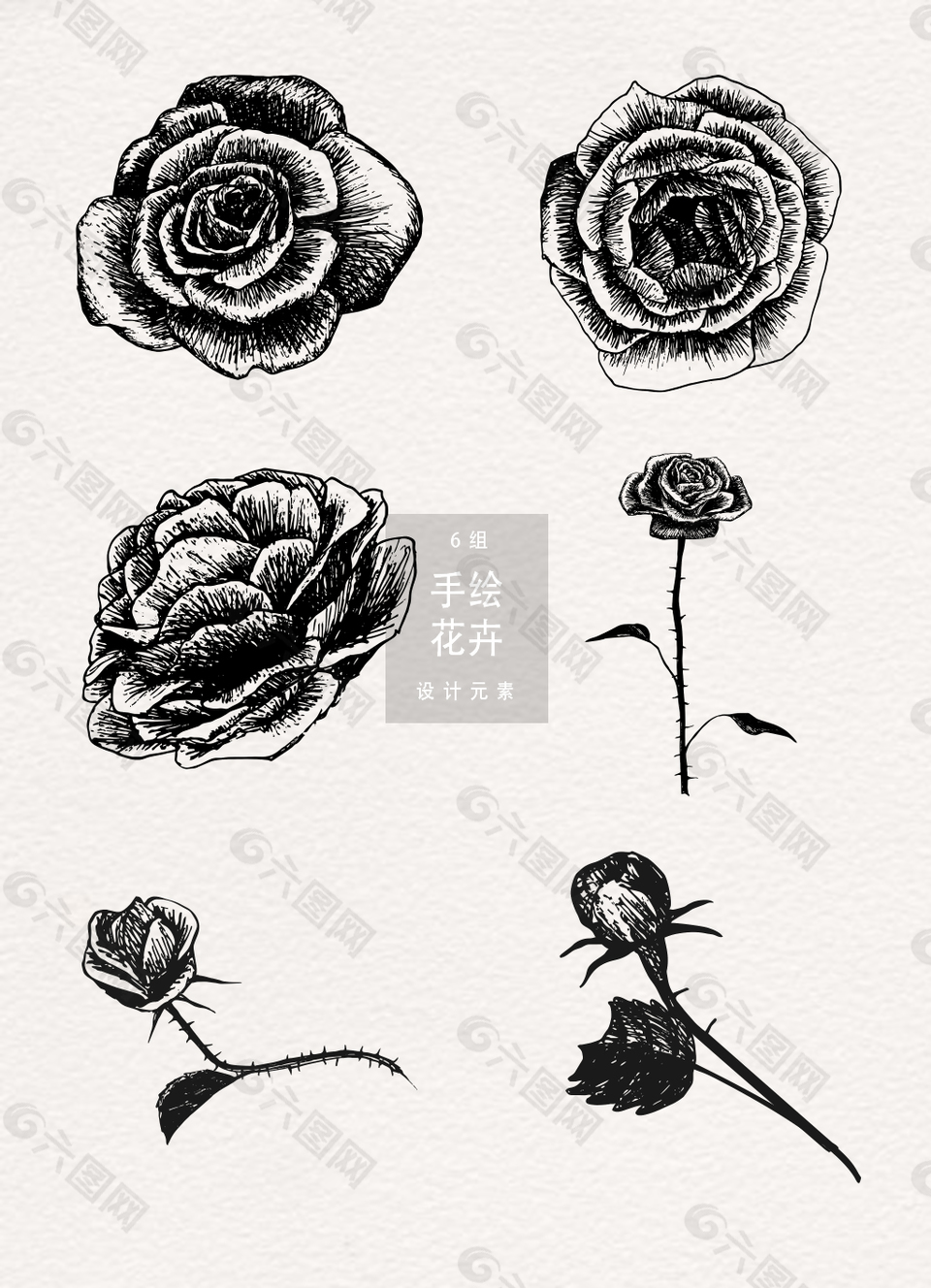 黑白手繪玫瑰花素材
