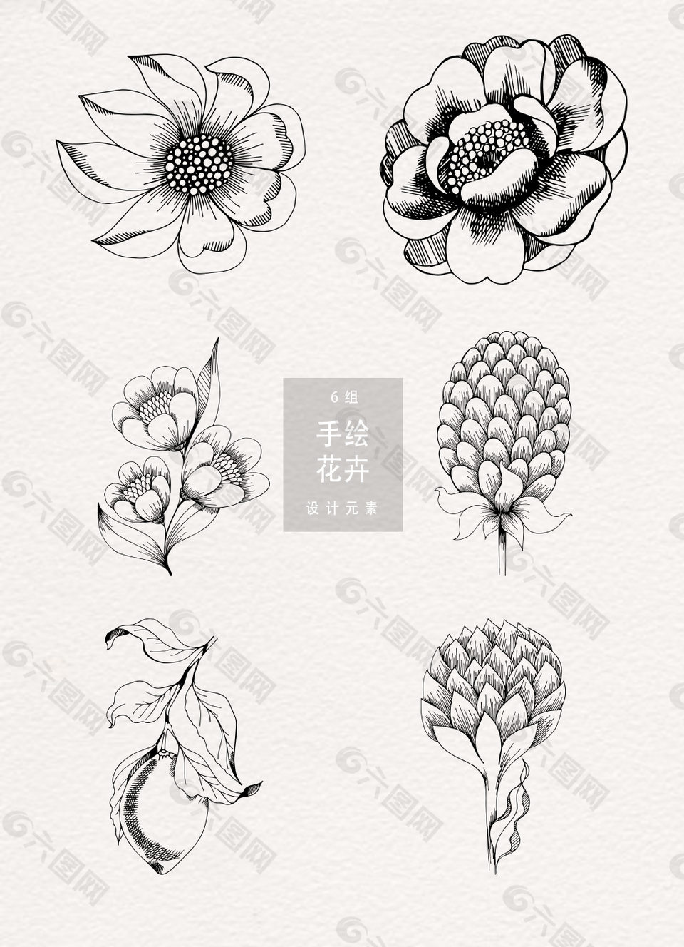 黑白手繪花卉素材