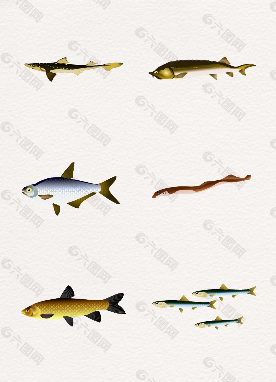 卡通設(shè)計(jì)海洋魚類