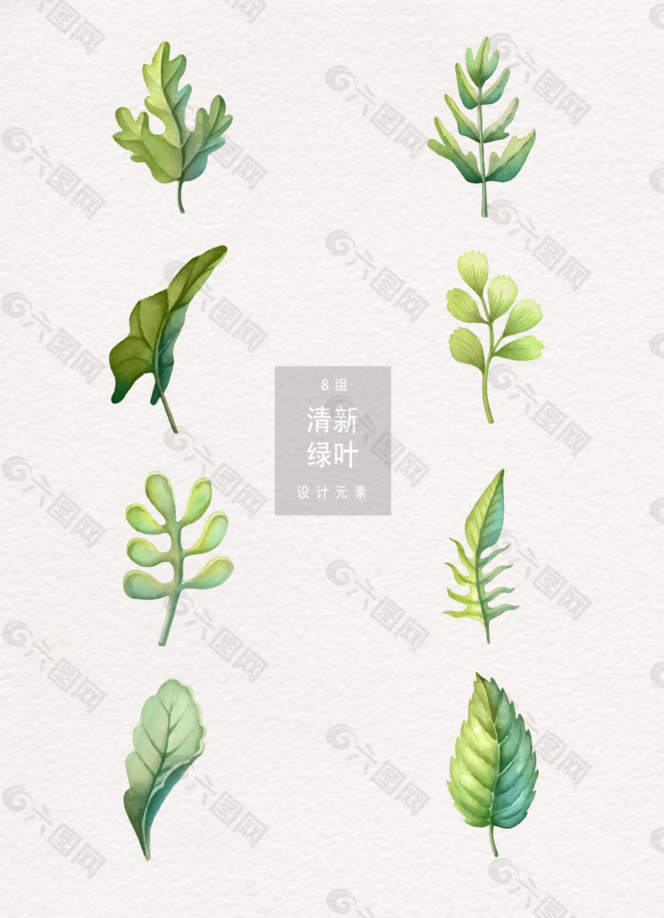 清新手繪葉子素材