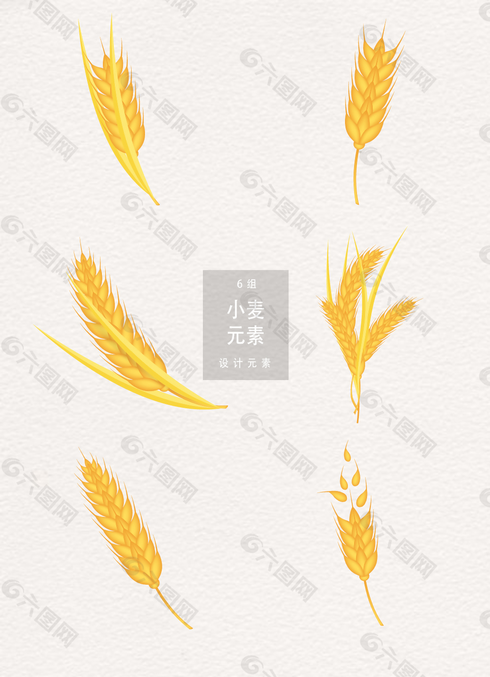 黃金小麥設(shè)計元素