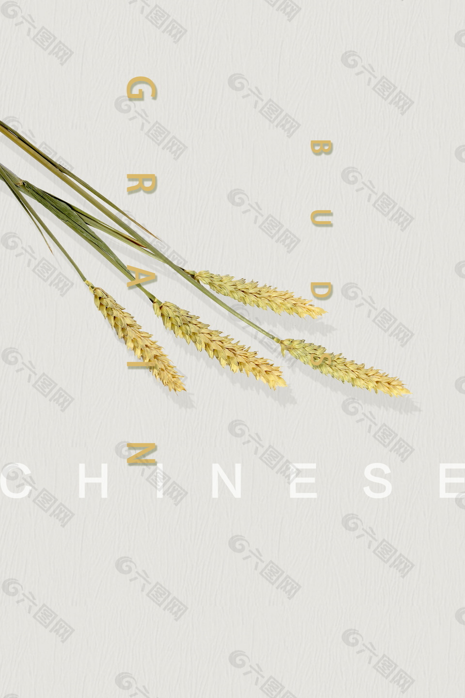 清新小麥麥穗海報(bào)背景設(shè)計(jì)