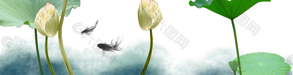 夏季超級(jí)小清新荷花魚(yú)背景圖