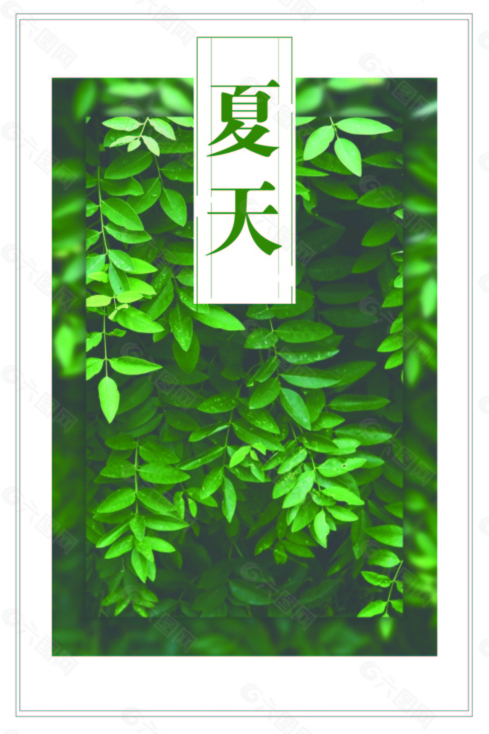 綠色植物夏天海報(bào)背景