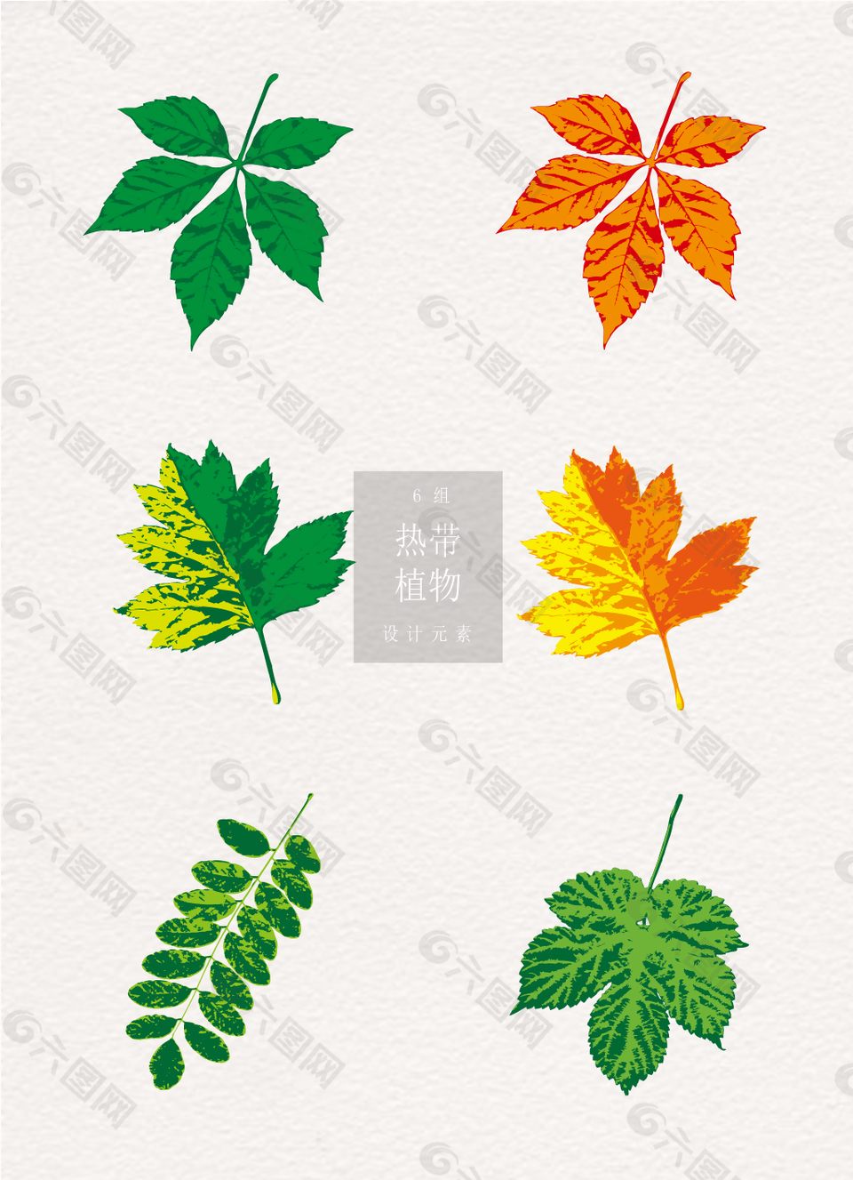 热带植物绿色黄色叶子ai矢量素材