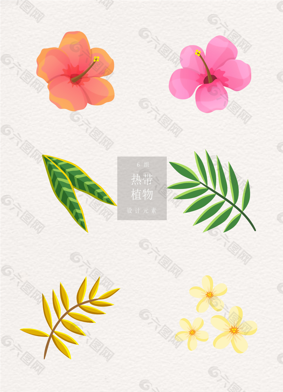 热带植物ai矢量元素花朵清新叶子