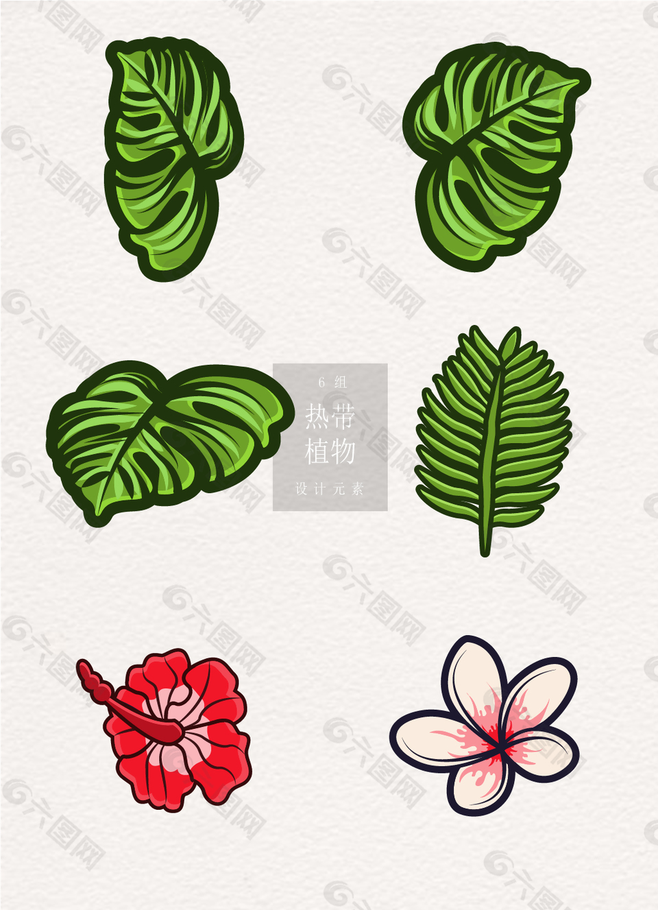 熱帶植物矢量樹葉花朵手繪ai元素素材