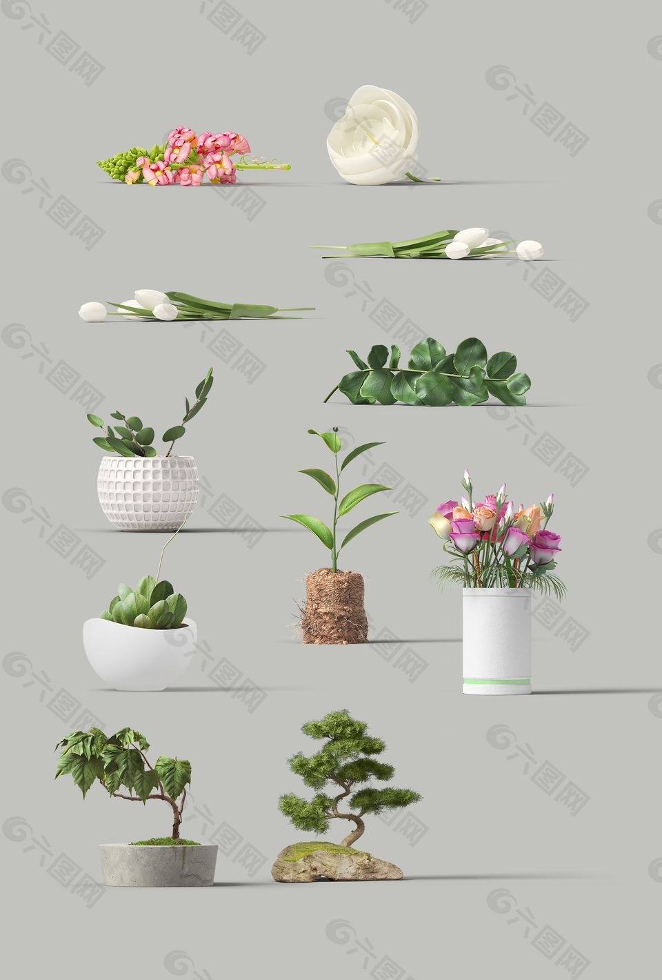 歐美高清分層植物