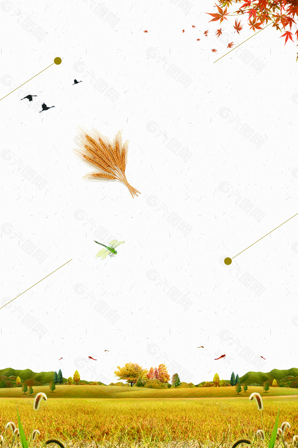 二十四节气芒种背景