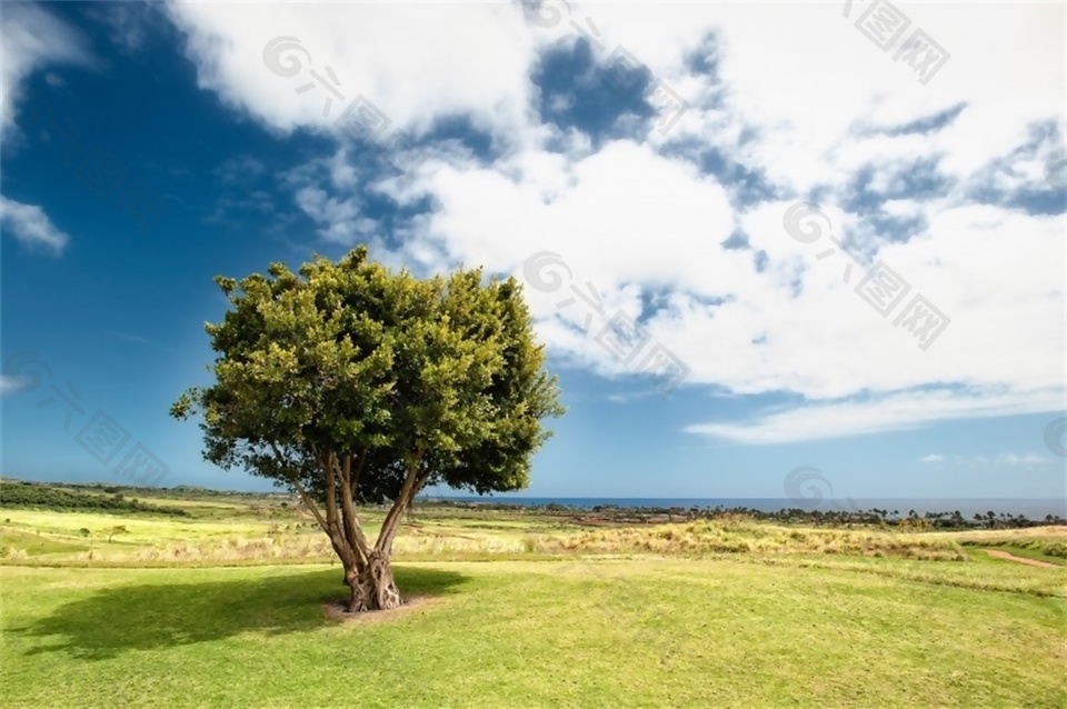 頒獎(jiǎng)典禮開(kāi)頭大氣輕松背景音效素材