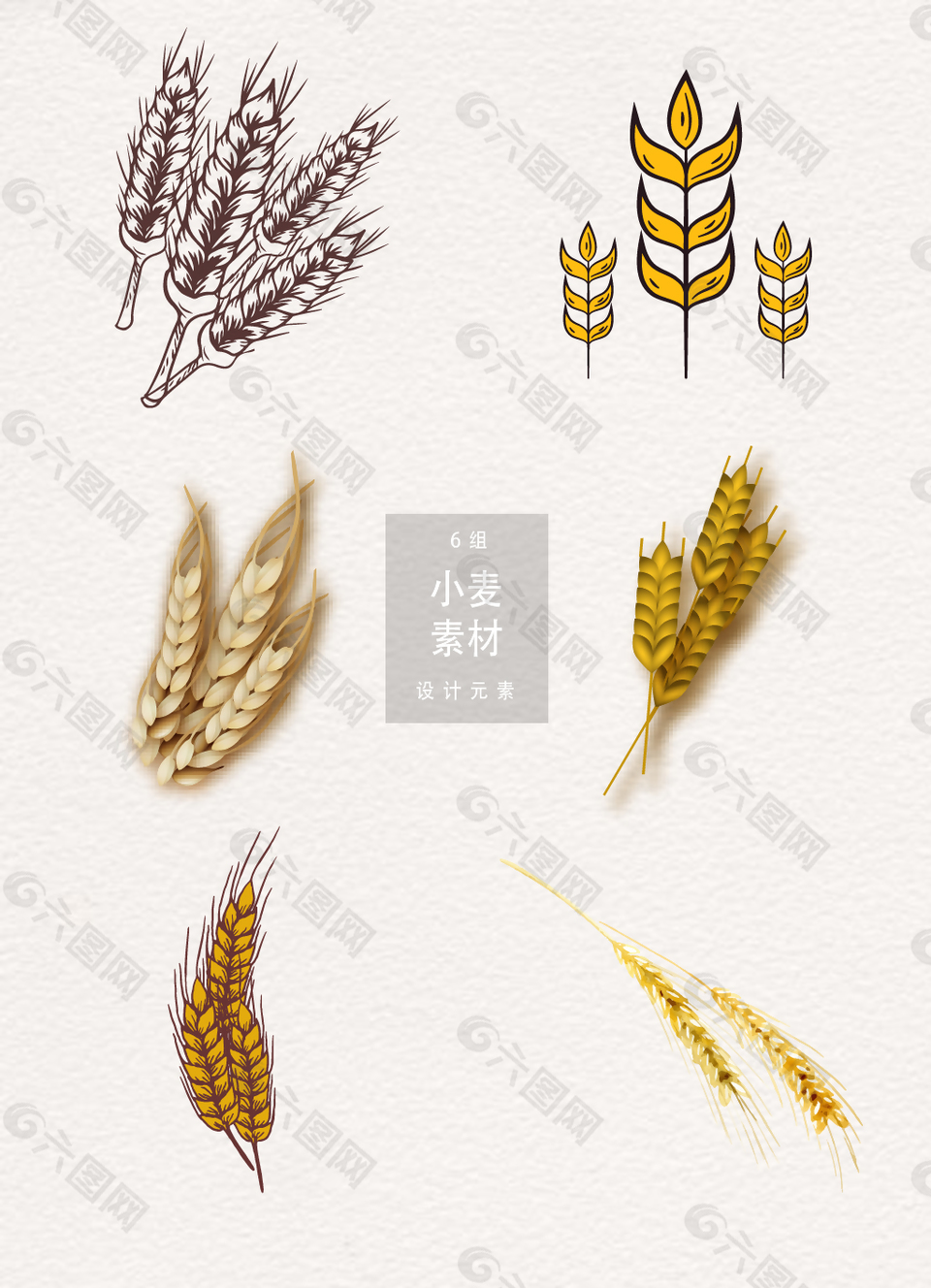 手绘小麦设计元素