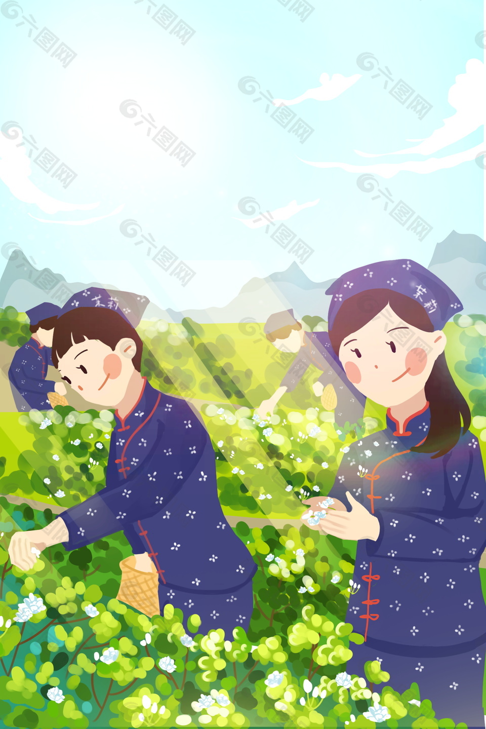 采摘茶葉夏季背景素材