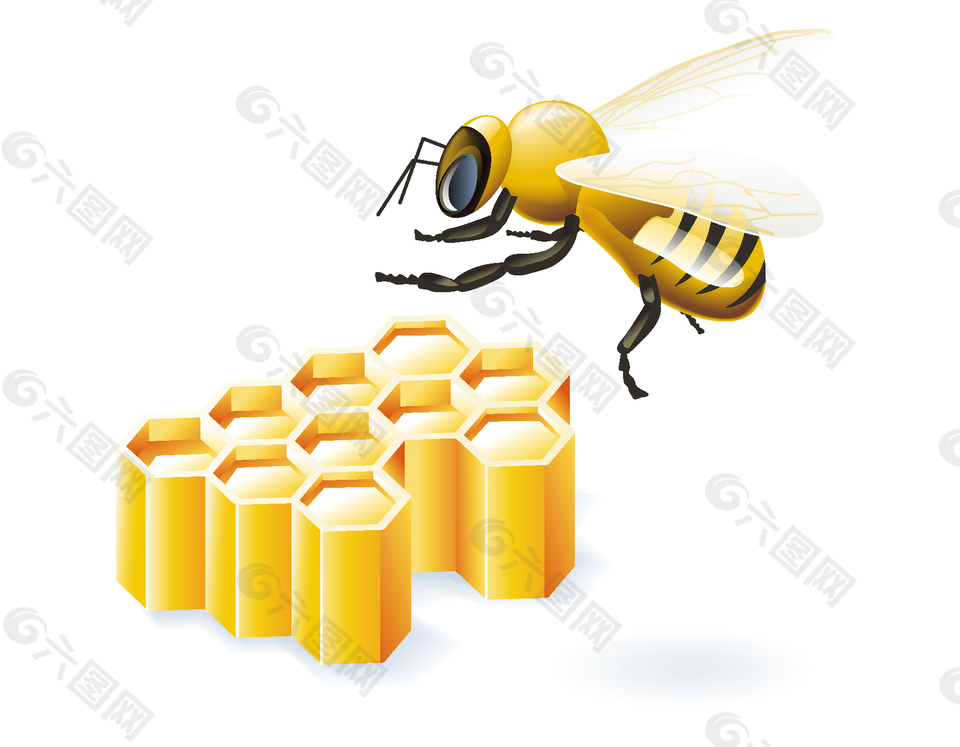 辛勤采蜜的蜜蜂矢量图