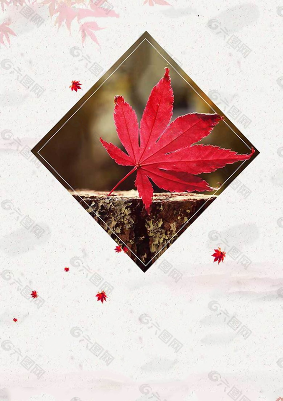 秋季紅楓葉背景