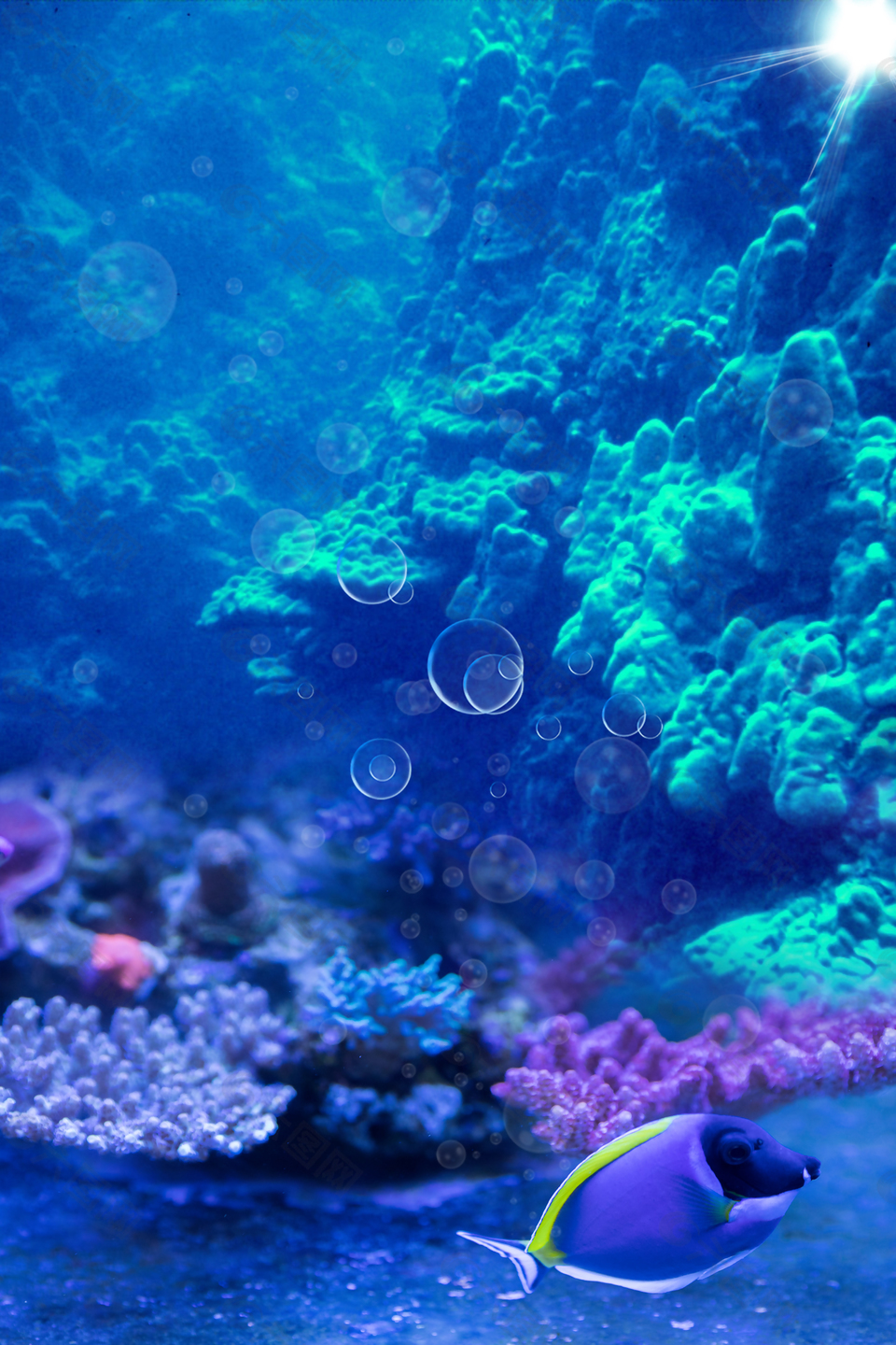 浮潛藍色大氣旅游海報背景