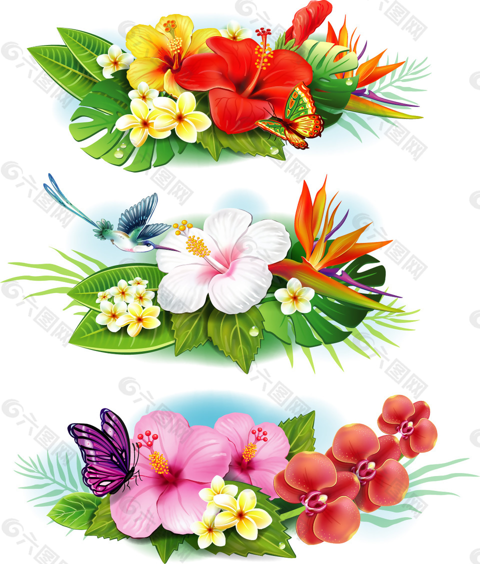 热带花卉系列矢量