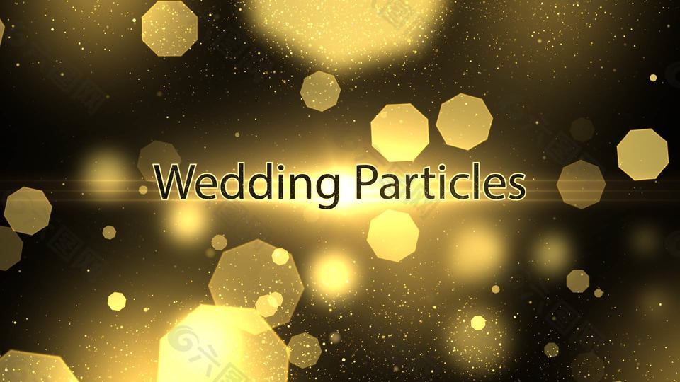 華麗的金色粒子光斑婚禮主題內(nèi)容展示模板