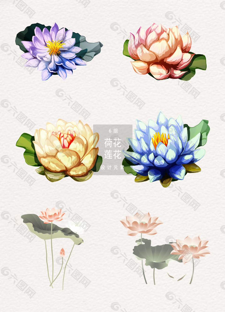 唯美水彩荷花蓮花設(shè)計(jì)元素