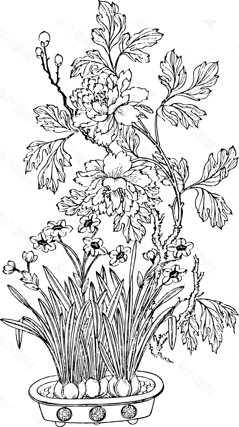一盆水仙花與牧丹花失量圖