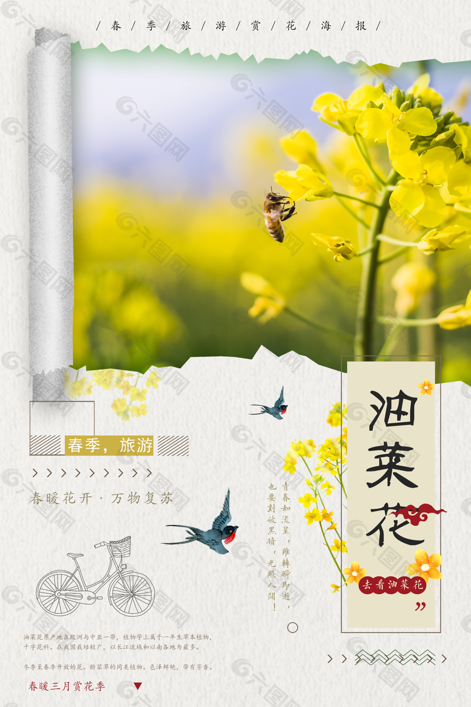 春游圖片