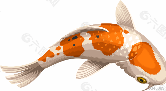 魚