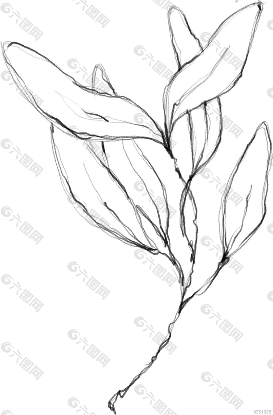 花朵矢量圖免扣
