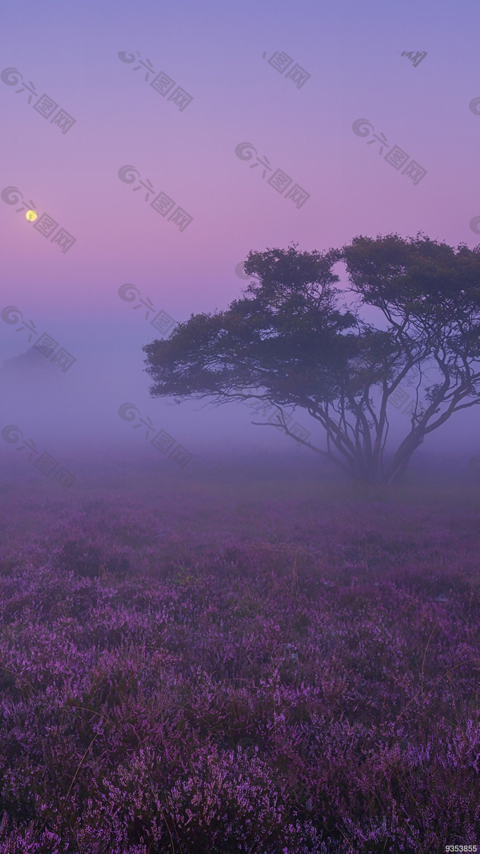 風(fēng)景 風(fēng)景畫 背景 背景畫 畫