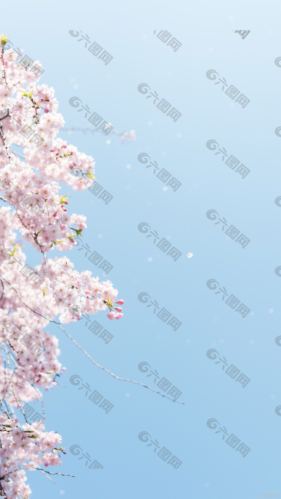 風(fēng)景 風(fēng)景畫 背景 背景畫 畫