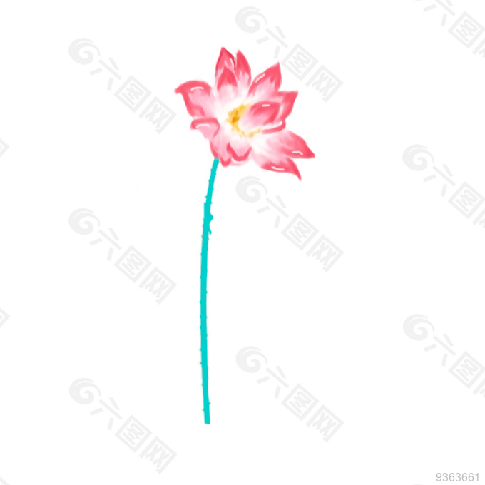 荷花