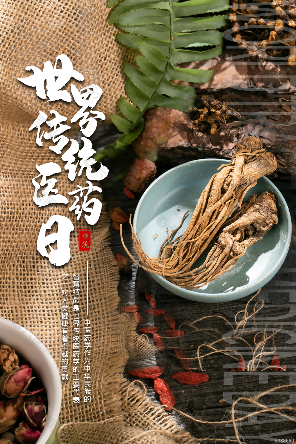 世界傳統醫藥日宣傳海報圖