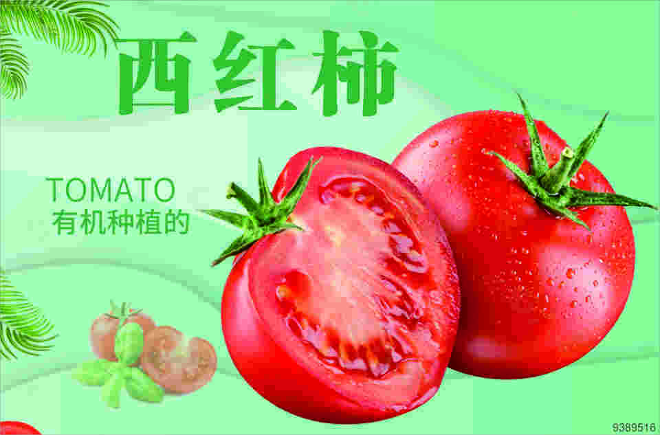 西红柿海报