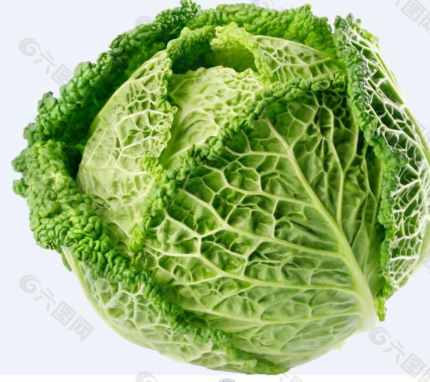 白菜包菜