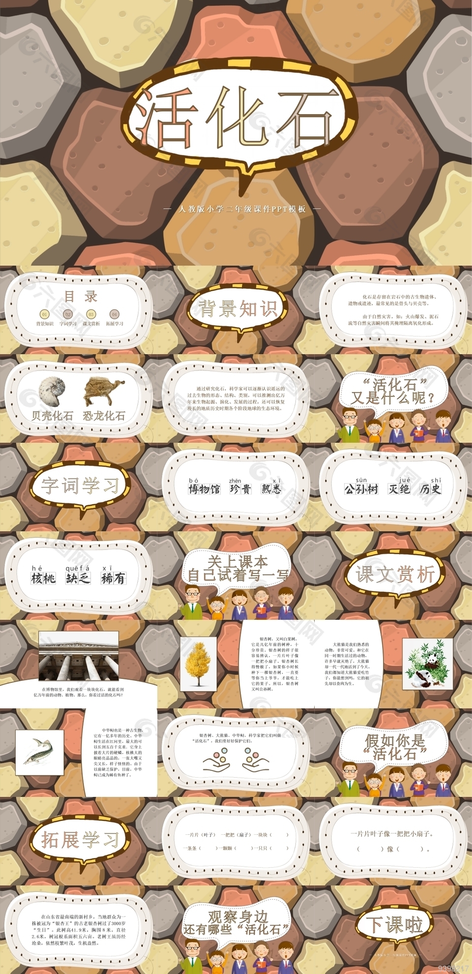 人教版小學二年級活化石課件PPT模板