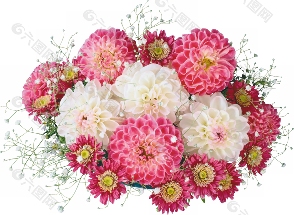 楊菊花鮮花花束素材