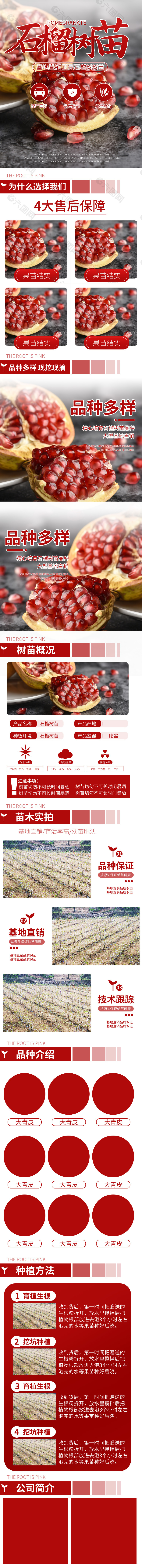 紅色簡約石榴樹苗電商詳情設計