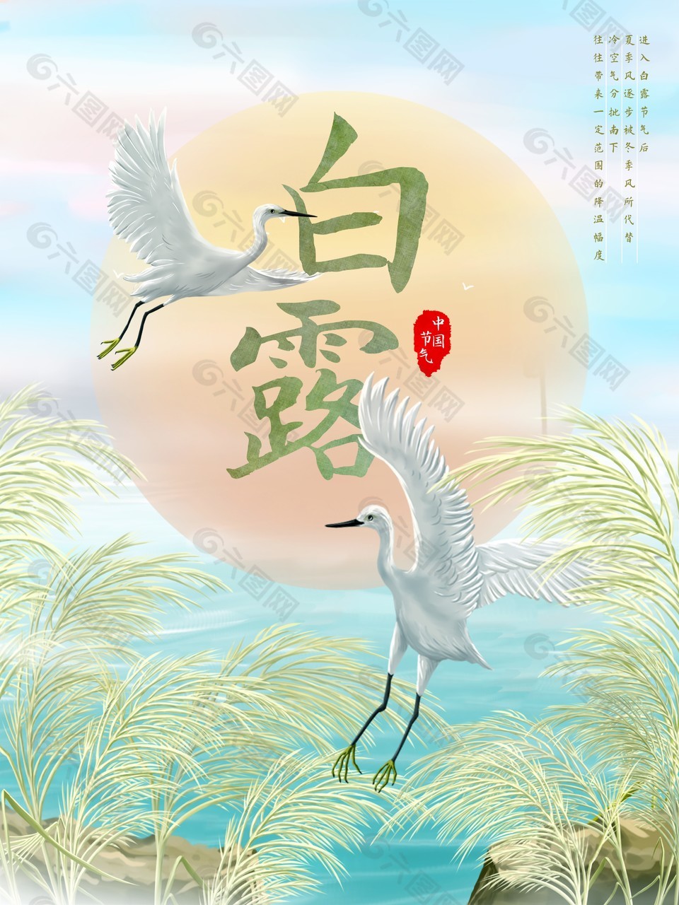 白露意向宣傳推廣海報(bào)素材