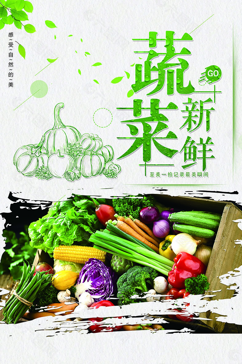 綠色蔬菜海報設(shè)計