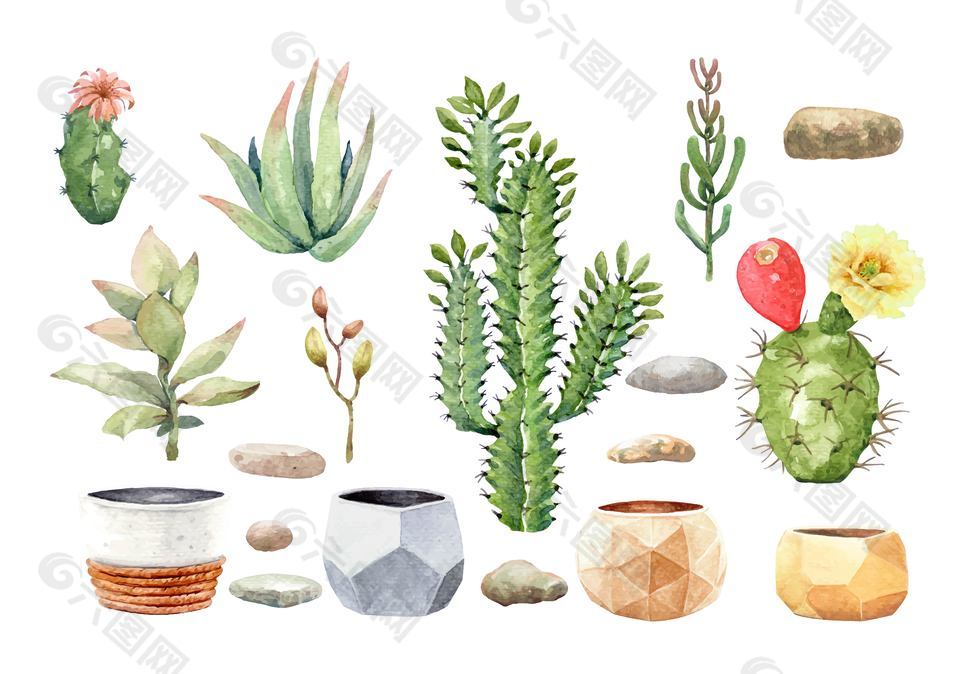 可愛多肉植物盆栽插畫