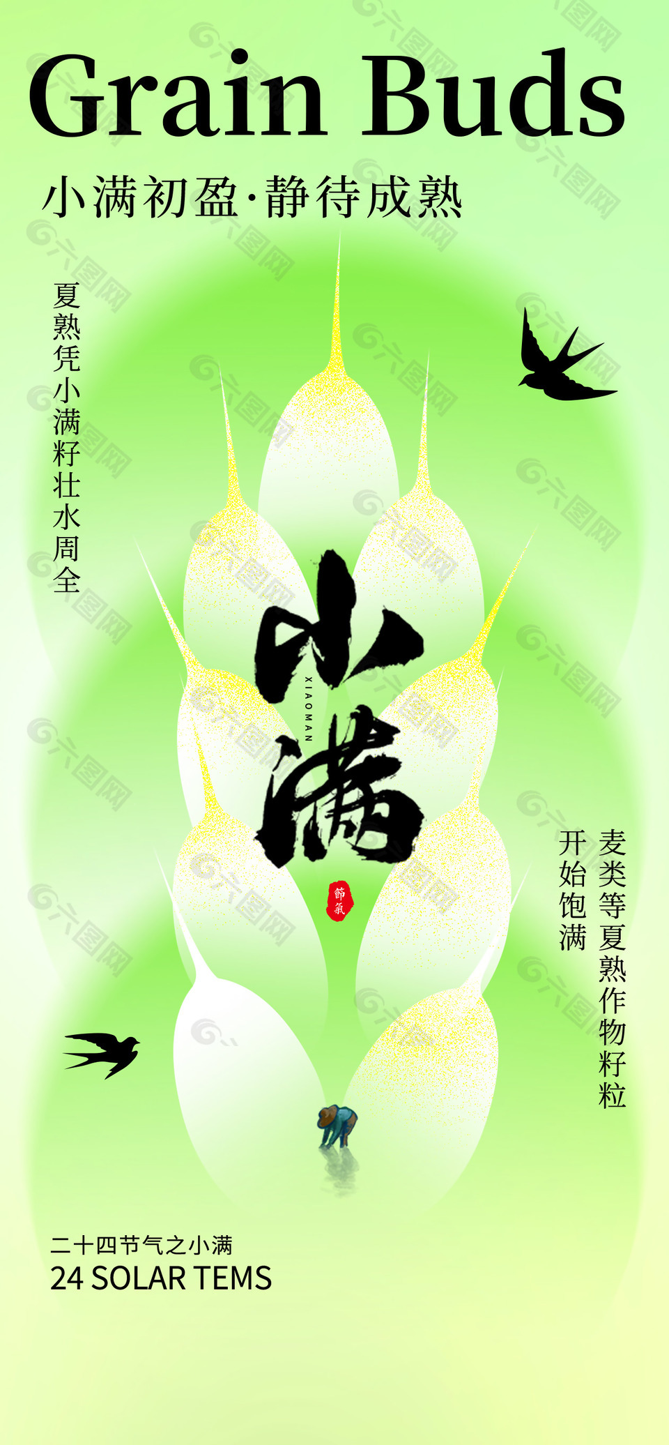 小滿節(jié)氣麥穗飽滿綠意漸變海報設計